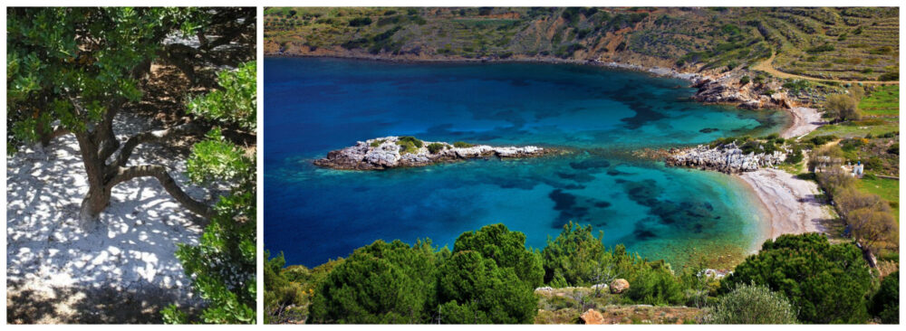 ΣΕΜΙΝΑΡΙΟ ΧΟΡΟΡΥΘΜΙΚΗΣ ΘΕΡΑΠΕΙΑΣ ΜΕ ΤΗΝ ΠΡΩΤΟΓΟΝΗ ΕΚΦΡΑΣΗ ΣΤΗ ΧΙΟ 11-15/07/2025