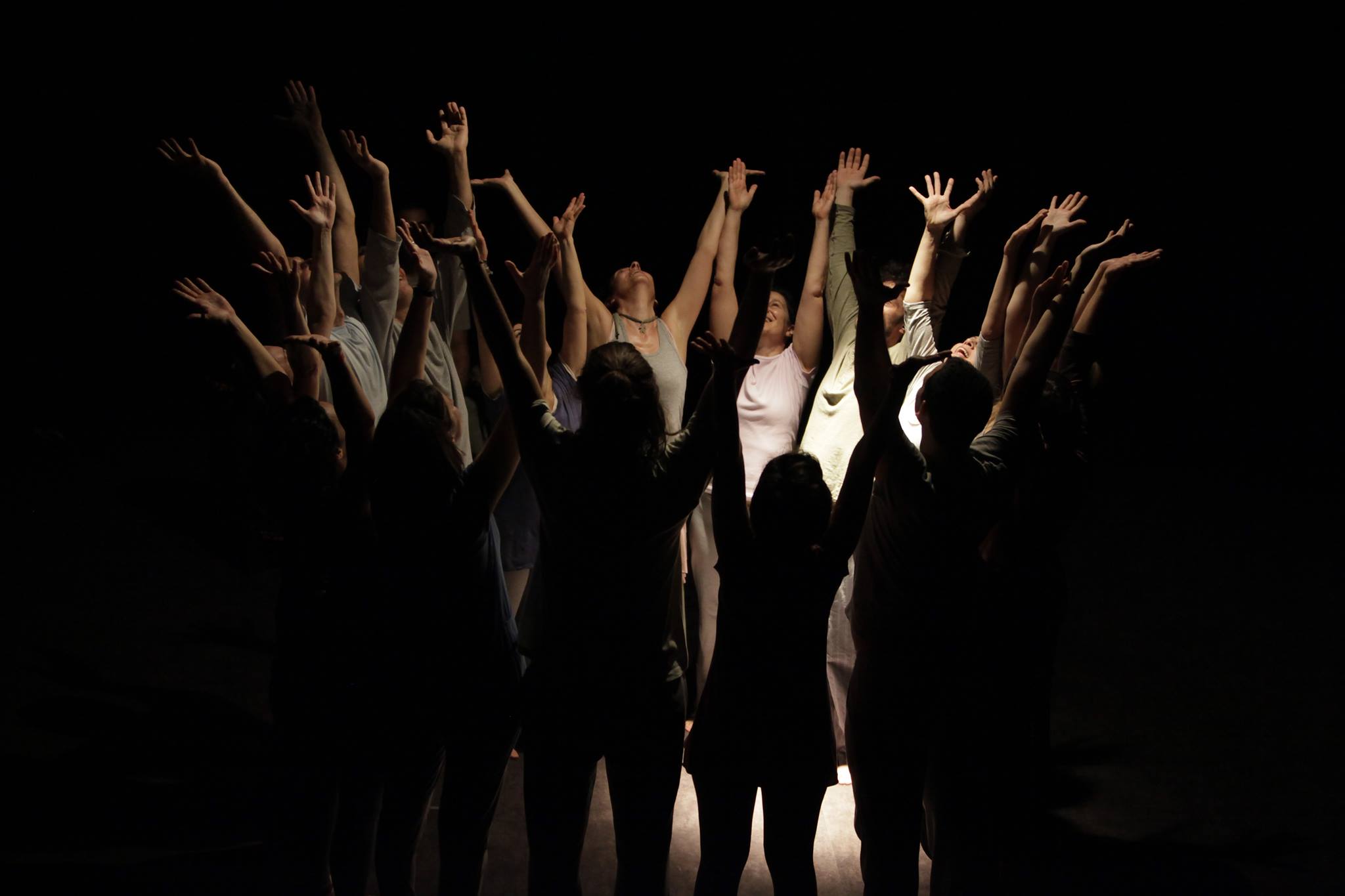 Ομάδα Πρωτόγονης Έκφρασης 2025-2026